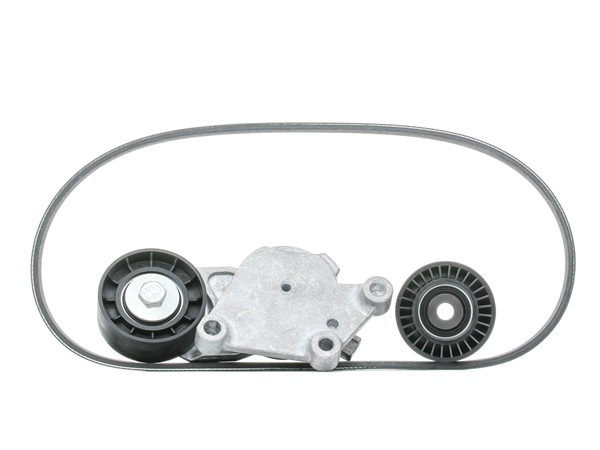 OEM Y60115980 SKF  Keilrippenriemensatz VKMA 33058 für PEUGEOT, TOYOTA, CITROЁN, MAZDA, VOLVO