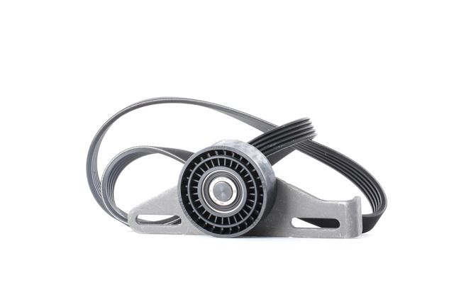 Poly V-riem set (VKMA 36091) van SKF Voor RENAULT CLIO II (BB0/1/2_, CB0/1/2_) 1.4 16V (B/CB0L) (70 KW / 95 PK / Van 1999)
