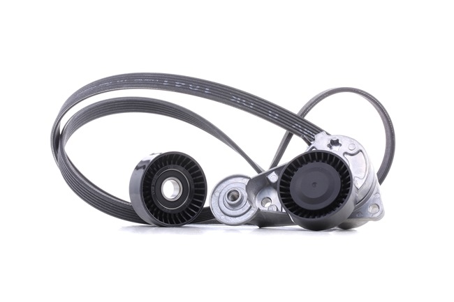 OEM 30731808 SKF Moniurahihnasarja VKMA 36220 varten VOLVO