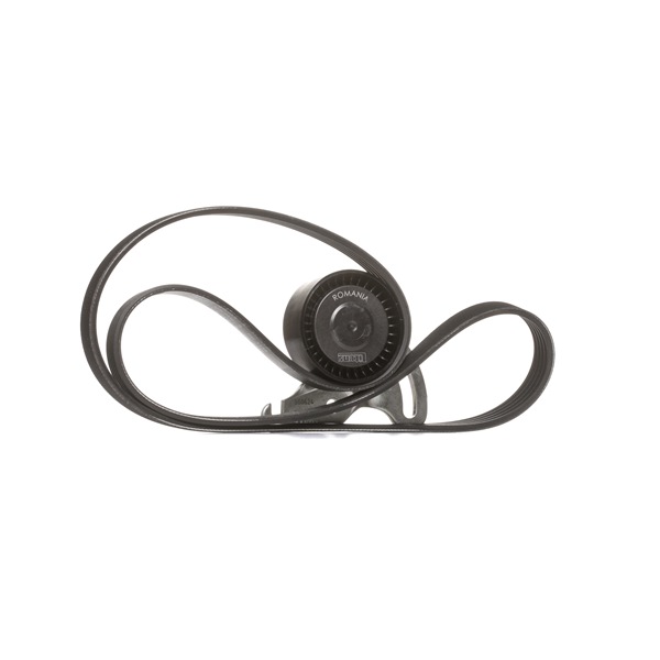 SKF Jeu de courroies trapézoïdales à nervures (VKMA 36036) pour RENAULT Kangoo I Express (FC, FC0/1) 1.5 dCi (FC1E) (50 KW / 68 CH / de 2005)