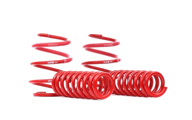 comprar Molas de rebaixamento - H&R (28891-1)