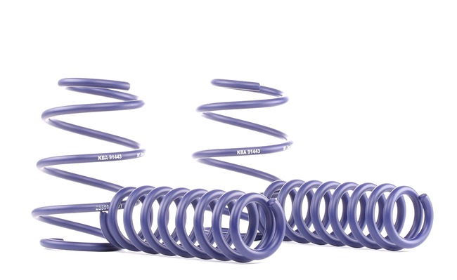 MAN TGE Box (UY_) 2.0 TDI (UYB, UYC, UYD, 01V, 09V, 03V, 10V) Lowering springs 28896-1