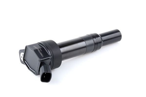 OEM 273002E000 RIDEX Bobine d'allumage 689C0345 pour KIA, HYUNDAI