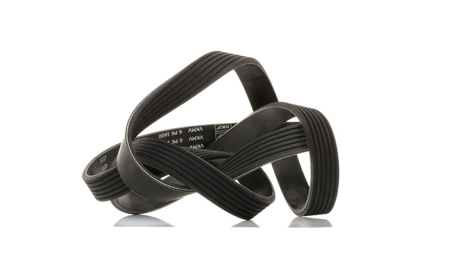 Multiriem VKMV 6PK1600 van SKF