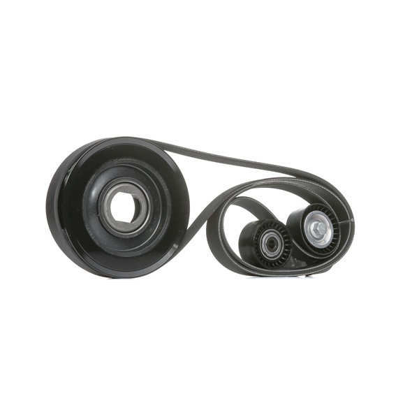 OEM 7701477344 GATES  Keilrippenriemensatz K057PK1973 für RENAULT, NISSAN