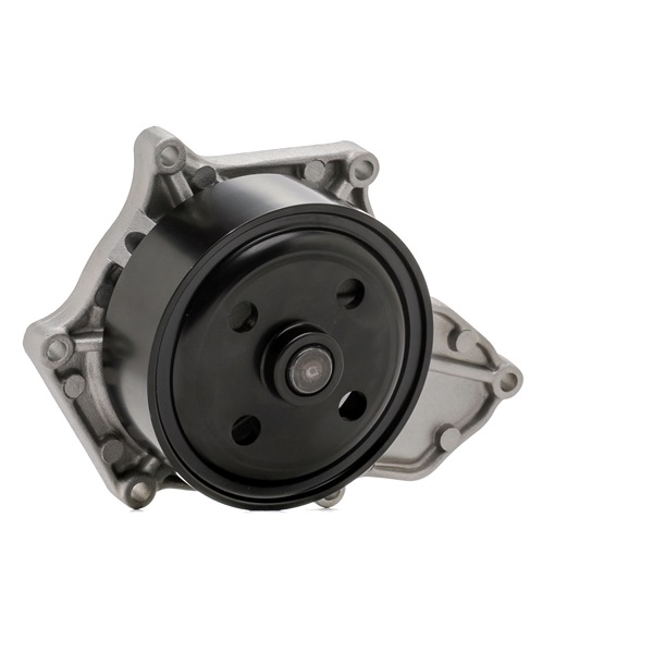 SKF Pompe à eau VKPC 93609