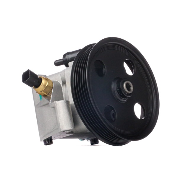 JP GROUP Pompe de direction assistée (1545104300) pour FORD Focus Mk3 Van / 3/5 portes 2.0 TDCi (110 KW / 150 CH / de 2014)