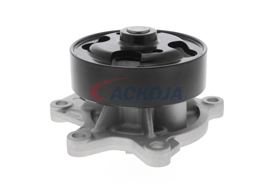 OEM B1010EN20B ACKOJA Vesipumppu A38-0701 varten NISSAN, RENAULT, ALFA ROMEO, DACIA, INFINITI