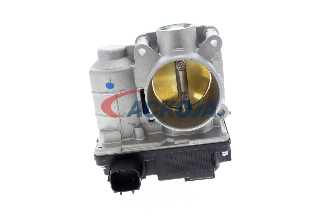 OEM 161198N00C ACKOJA Gasspjæld A38-81-0001 med RENAULT, NISSAN