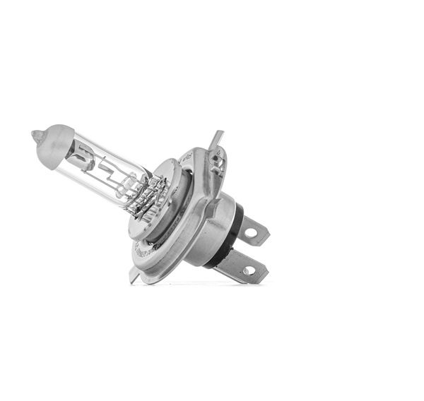 OSRAM Glödlampor 64193NBS