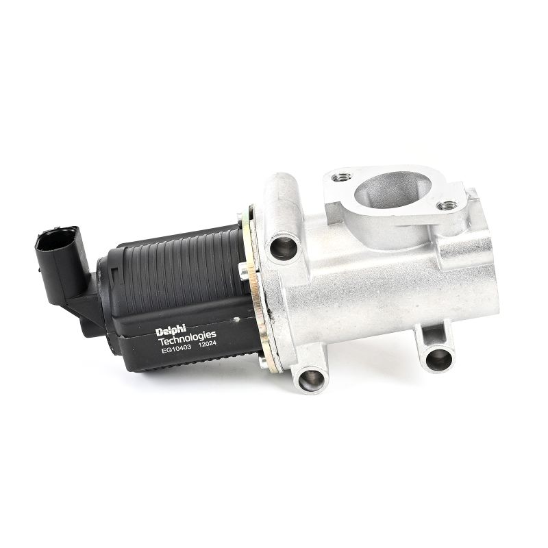 OEM 55194734 DELPHI Válvula EGR EG10403-12B1 para OPEL, FIAT, SUZUKI, ALFA ROMEO, DACIA