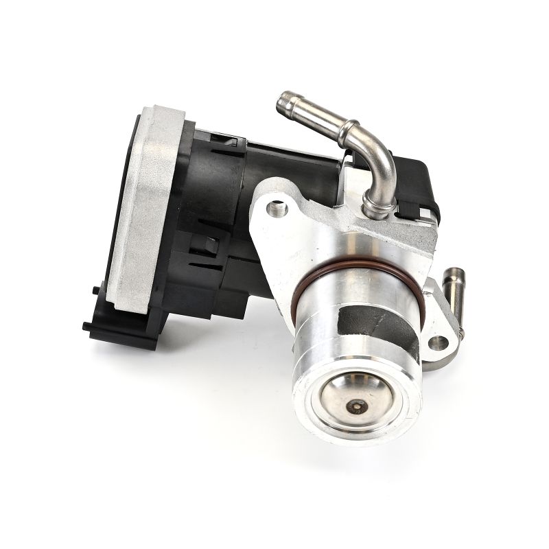 DELPHI Válvula egr EG10422-12B1