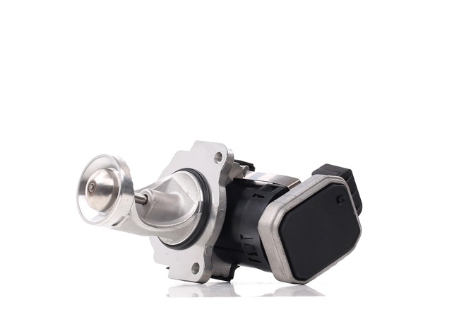 comprar Válvula EGR - DELPHI (EG10431-12B1)