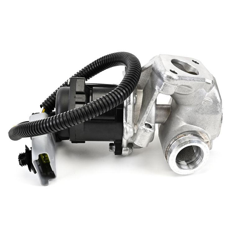 comprare Valvola EGR - DELPHI (EG10434-12B1)