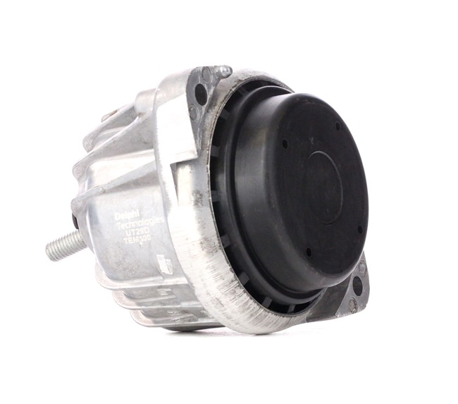 Série 3 Suporte, motor TEM100 DELPHI