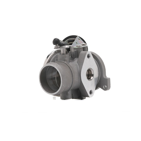 OEM 045131501D BUGIAD Venttiili, pakokaasun kierrätys BGR13021 varten VW, AUDI, SKODA, SEAT