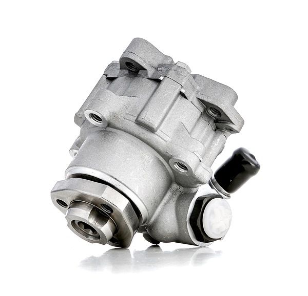 Servopumpe KAMOKA PP195