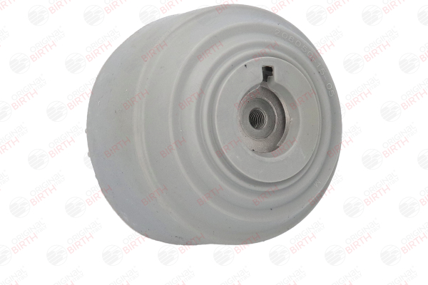 OEM A1712400117 BIRTH Supporto motore 53177 per MERCEDES-BENZ
