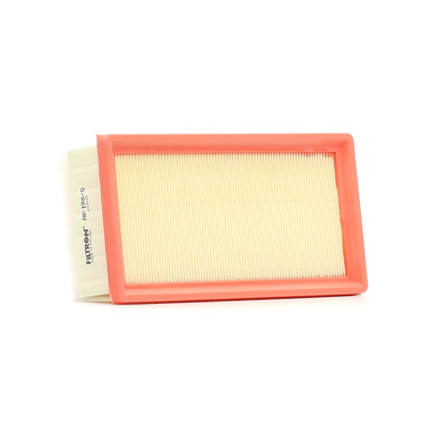 Luftfilter FILTRON AP 196/5