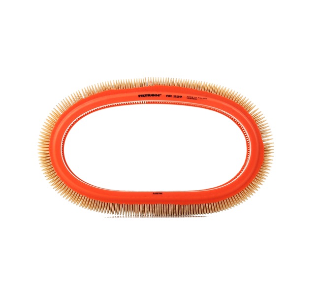 FILTRON Luftfilter AR 229