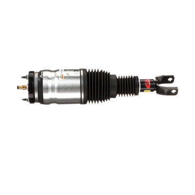 Arnott Luftdempere AS-3017 DURANGO Luftdempere AS-3017 Arnott