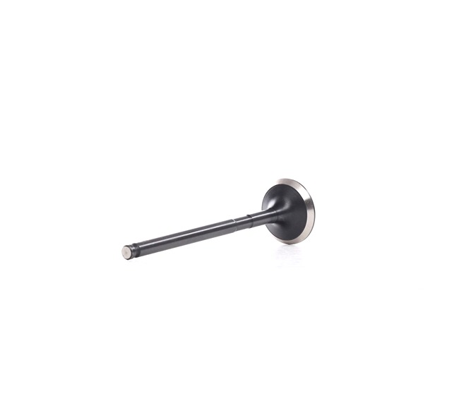 OEM 0949C8 NE Udstødningsventil 5737190000 med VW, PEUGEOT, TOYOTA, CITROЁN, DAIHATSU