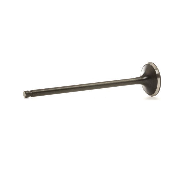 OEM 13202ED00C NE Pakoventtiili 5790000000 varten NISSAN, INFINITI