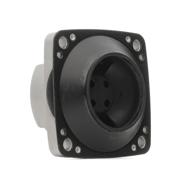OEM 2512401818 RIDEX Supporto, Cambio automatico 248M0002 per MERCEDES-BENZ, AUDI