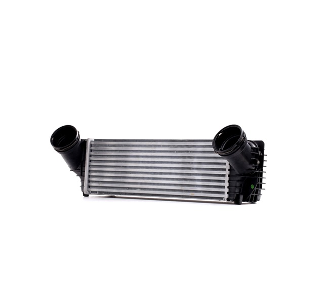 OEM 17517809321 RIDEX Välijäähdytin 468I0077 varten BMW, VOLVO