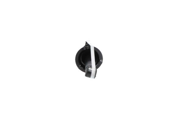 OEM 4853010120 KAVO PARTS Iskunvaimennin SSA-9075 varten TOYOTA, WIESMANN