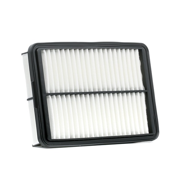FILTRON Luftfilter AP 197/5