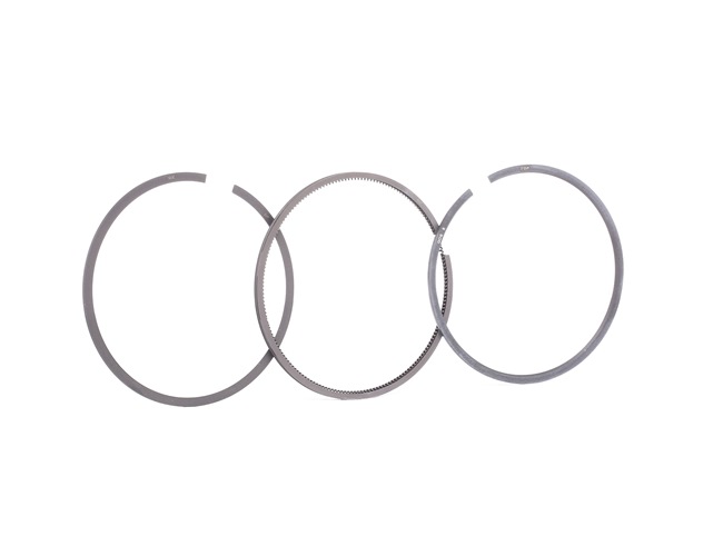 GOETZE ENGINE Kit fasce elastiche (08-336600-00) per RENAULT 19 I (B/C53_) 1.8 16V (101 KW / 137 CV / dal 1989)