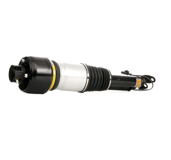 OEM 2113206313 RIDEX Ilmajousijalka 4118A0013 varten MERCEDES-BENZ