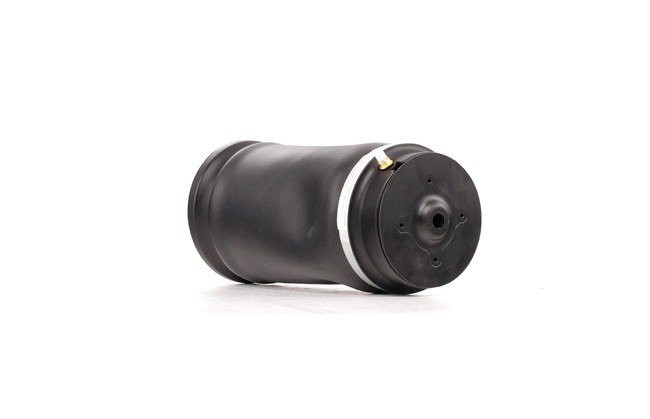OEM A2113205438 RIDEX Ilmajousijalka 4118A0014 varten MERCEDES-BENZ