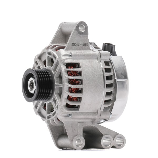 OEM 2S6T10300FC RIDEX Alternateur 4G0455 pour FORD, LAND ROVER, FORD USA