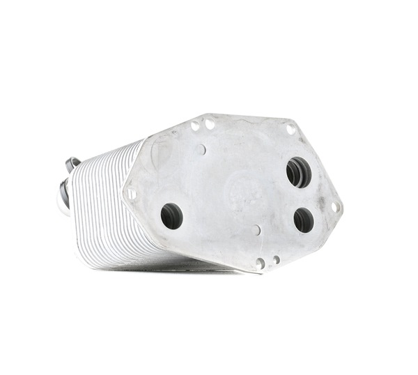 OEM 2247204 STARK Radiatore olio motore SKOC-1760048 per BMW