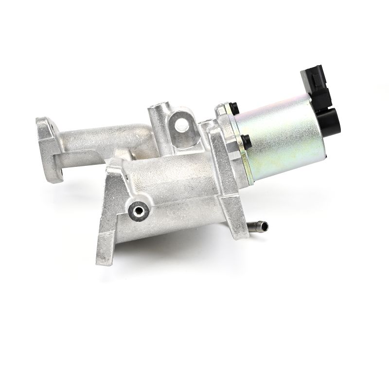 DELPHI Válvula egr EG10460-12B1