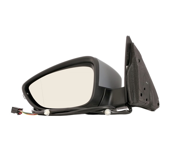 RIDEX Rear-view mirror / wing mirror 50O0460