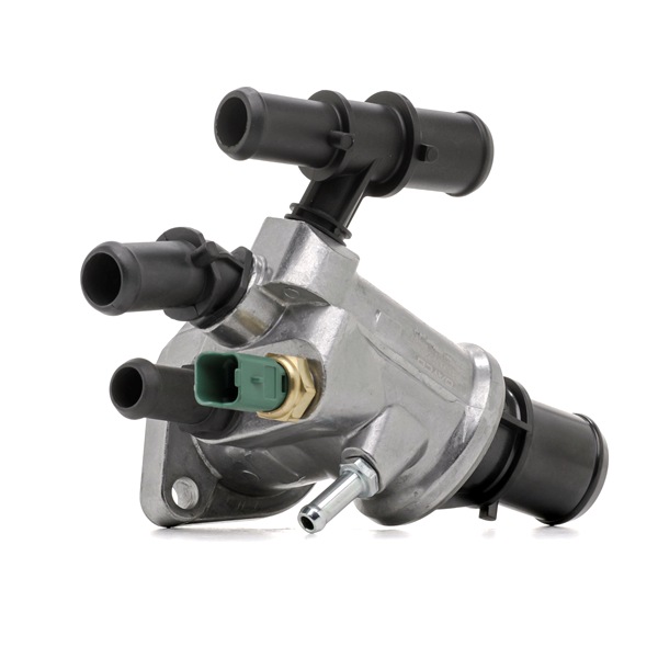 THESIS Thermostat d'eau DT1134H DAYCO