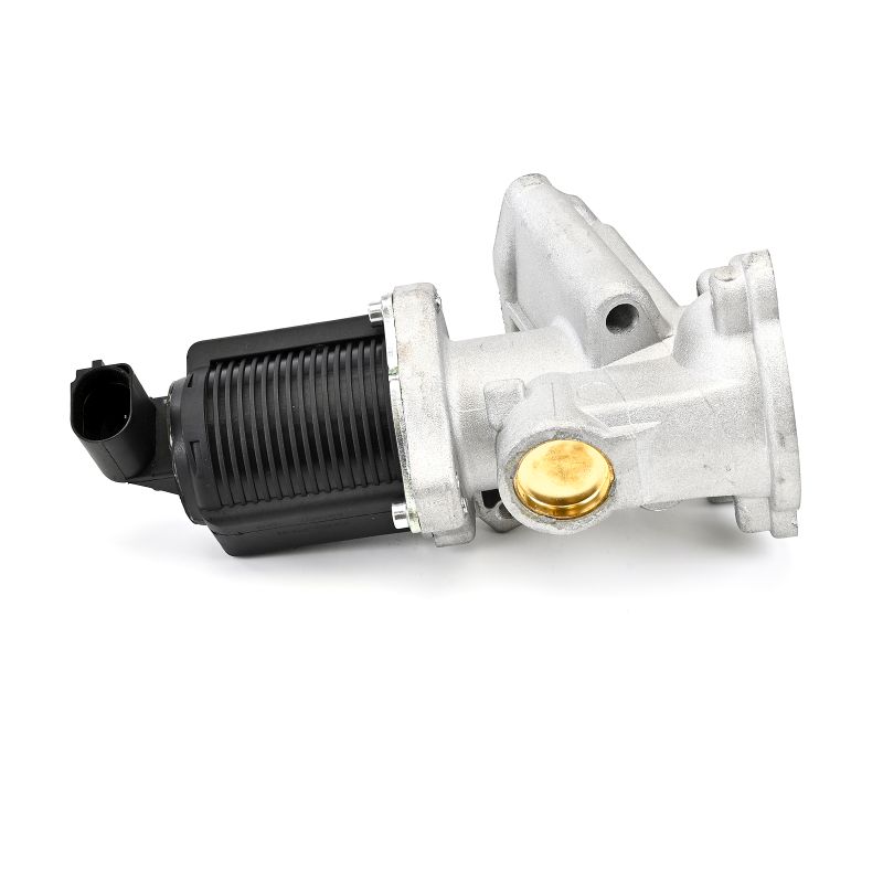 OEM 55219501 DELPHI Valvola EGR EG10477-12B1 per FIAT, FORD, ALFA ROMEO, LANCIA, IVECO