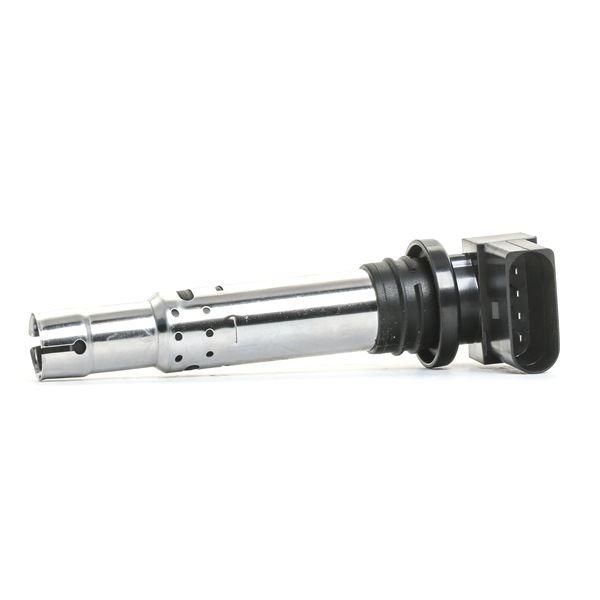OEM 036905100A ERA  Zündspule 880006A für VW, AUDI, SKODA, SEAT, TOYOTA