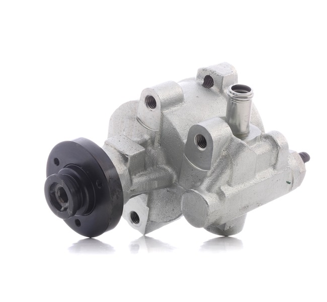 STARK Pompe de direction assistée (SKHP-0540182) pour RENAULT Megane Scenic (JA, JA0/1) 1.9 dTi (JA0N) (72 KW / 98 CH / de 1997)