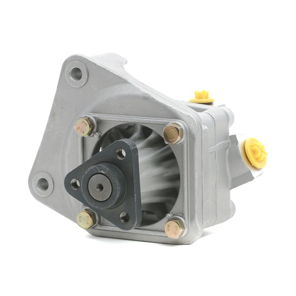 OEM 2227196 STARK Pompa idraulica, sterzo SKHP-0540192 per BMW, FORD