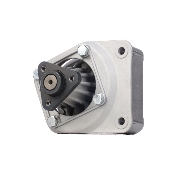 OEM 1138127 RIDEX Ohjaustehostimen pumppu 12H0200 varten BMW