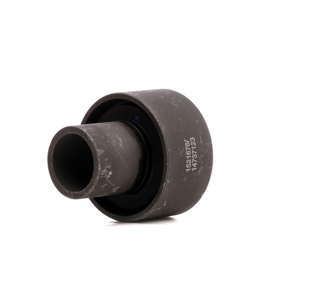OEM 7700762843 RIDEX Silent bloc d'essieu 1080M0009 pour RENAULT, FORD, DACIA, RENAULT TRUCKS