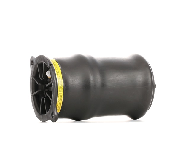 OEM A6393280201 RIDEX Ilmajousi 4119A0034 varten MERCEDES-BENZ, LAND ROVER