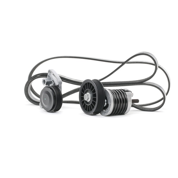 OEM 977132D100 RIDEX Moniurahihnasarja 542R0060 varten VW, BMW, AUDI, NISSAN, PEUGEOT
