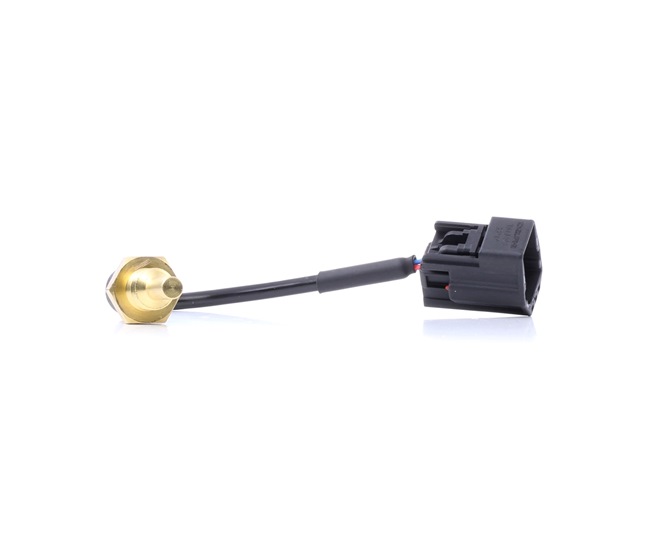 DELPHI Coolant temperature sensor TS10493