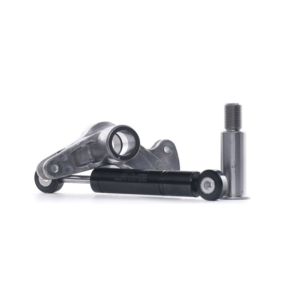 Spanner, Poly V-riem (540T0025) van RIDEX Voor MERCEDES-BENZ SPRINTER 4-t Open laadbak/ Chassis (904) 410 D (75 KW / 102 PK / Van 1996)