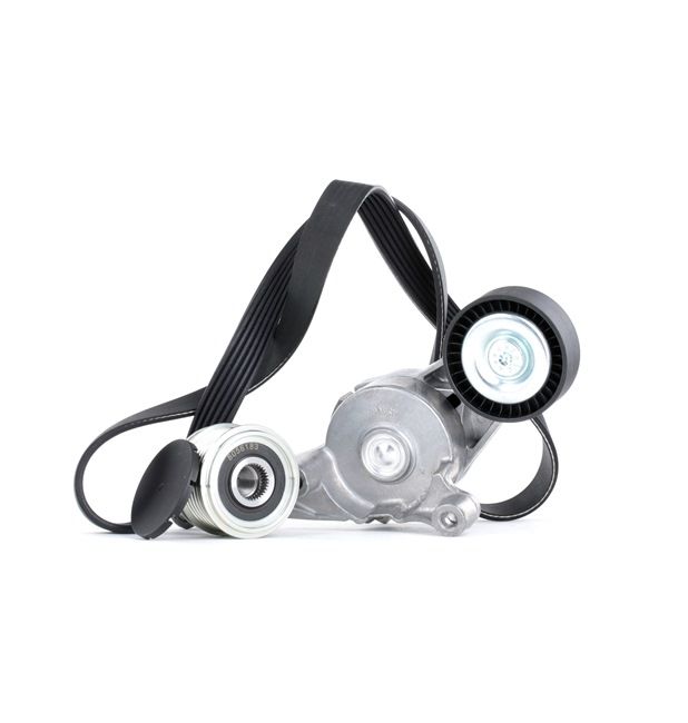 OEM 03G903315C STARK Kit Cinghie Poly-V SKRBS-1200063 per VOLKSWAGEN, AUDI, FORD, CITROЁN, SEAT